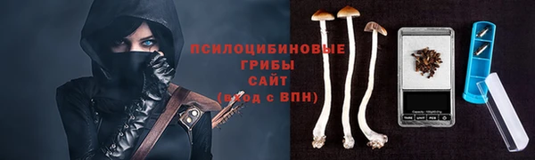 винт Усолье-Сибирское