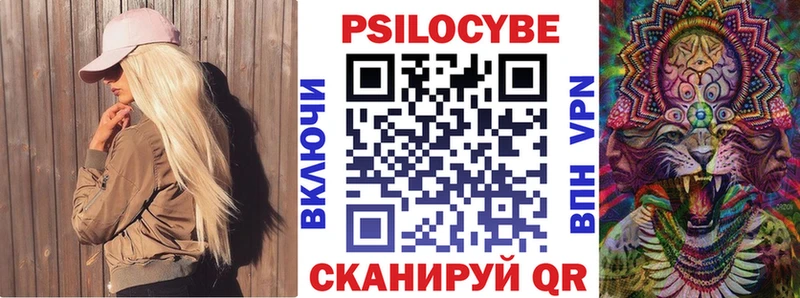как найти   Хасавюрт  Галлюциногенные грибы Cubensis 